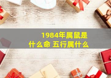 1984年属鼠是什么命 五行属什么